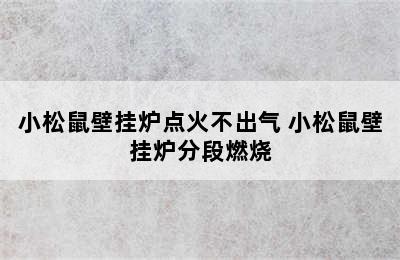 小松鼠壁挂炉点火不出气 小松鼠壁挂炉分段燃烧